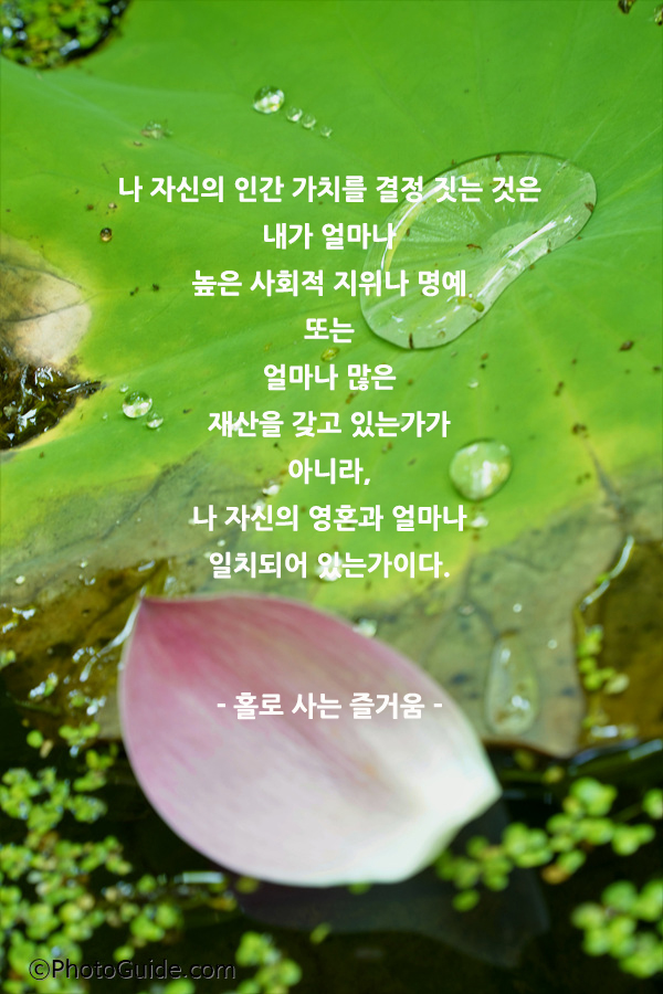 법정스님명언
