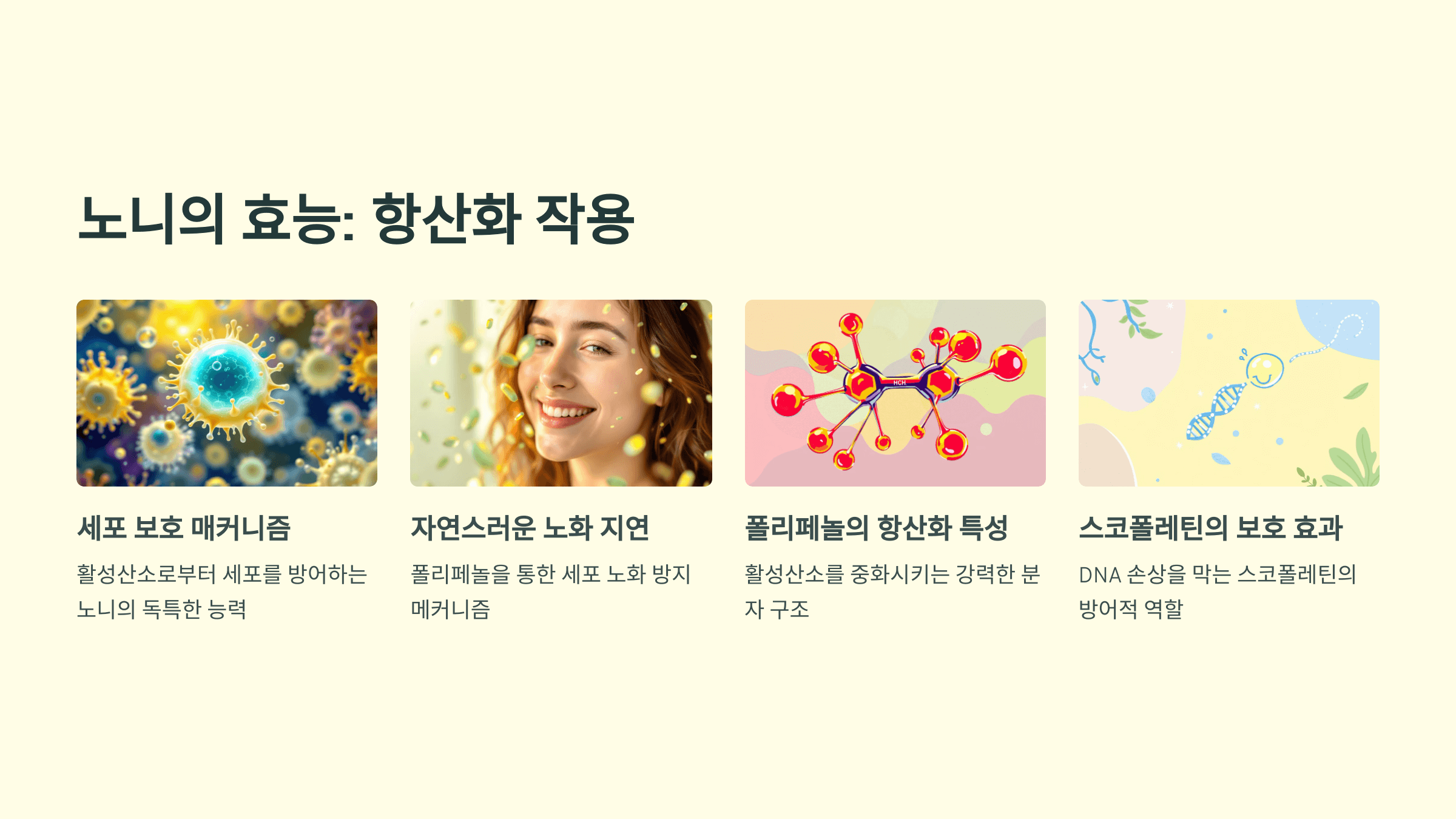 노니 사진입니다.