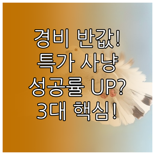 여행 경비 절반 절감! 항공권 특가 ..