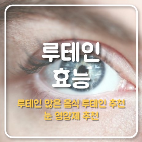 루테인 효능
