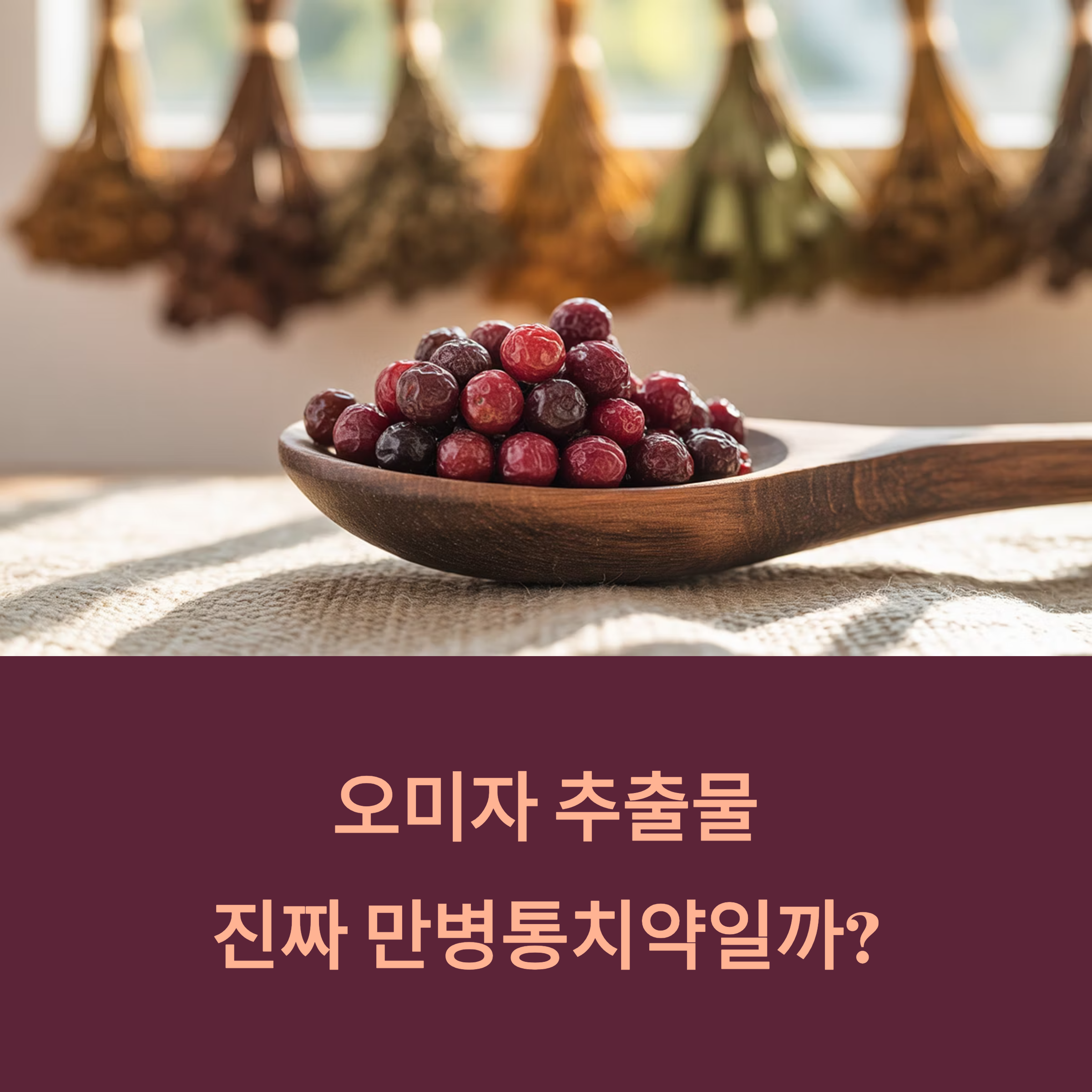 오미자 추출물 효능과 한계