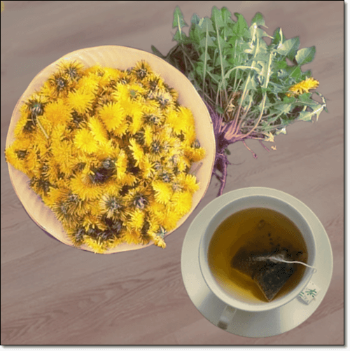 노란 민들레 차