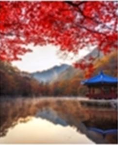 내장산 케이블카 요금 및 예약방법