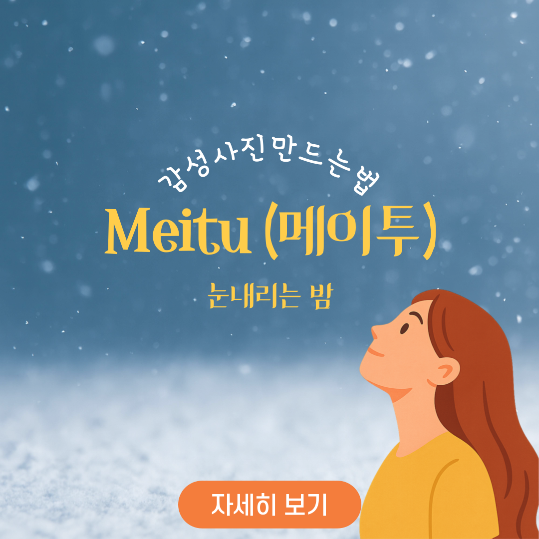 눈내리는 밤