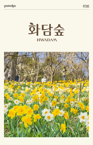 화담숲 봄 개장