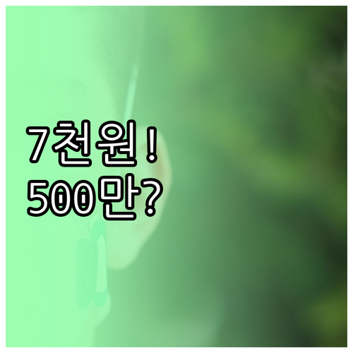 고양이 보험 월 7천원부터 수술비 5..