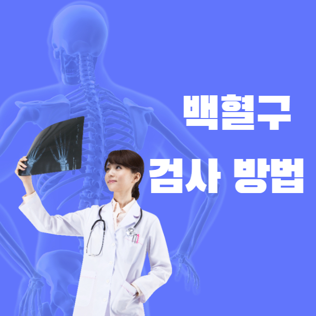 백혈구 검사 방법