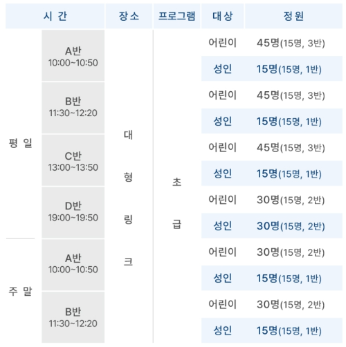 서울광장 스케이트장 강습시간