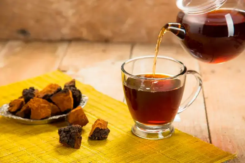 차가버섯과 차가버섯 우려낸 차