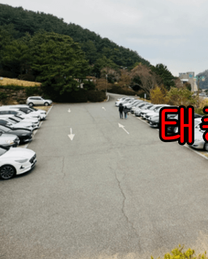 태종대 다누비열차 시간, 요금, 주차장