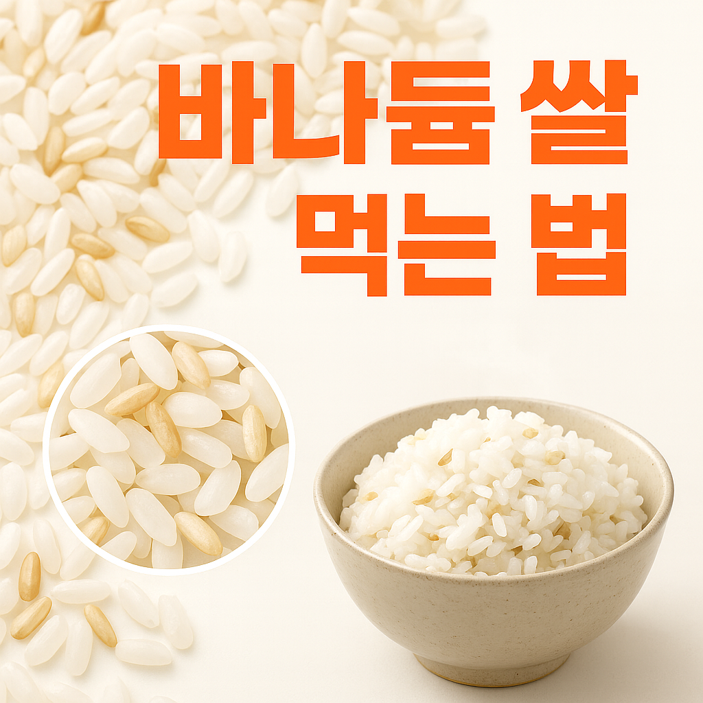 바나듐 쌀 먹는 법 – 혈당·대사 건강에 좋은 슈퍼푸드 활용 가이드