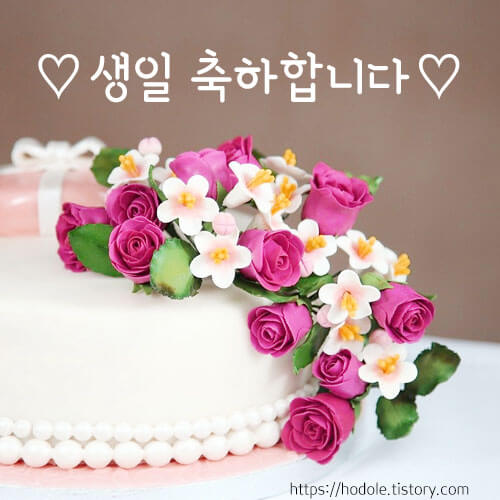 생일축하 메세지 문구 이미지 모음집6