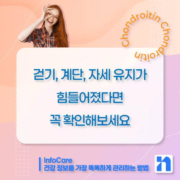 콘드로이친 효능&amp;#44; 복용방법
