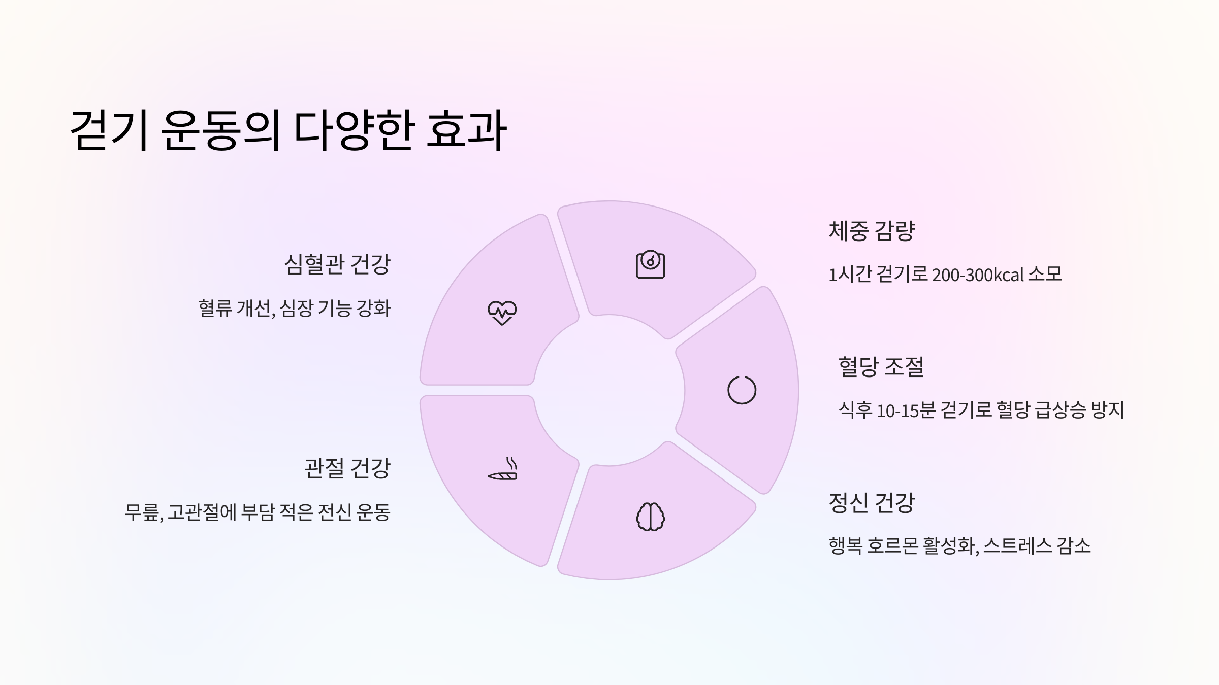 걷기의 다양한 효과 설명