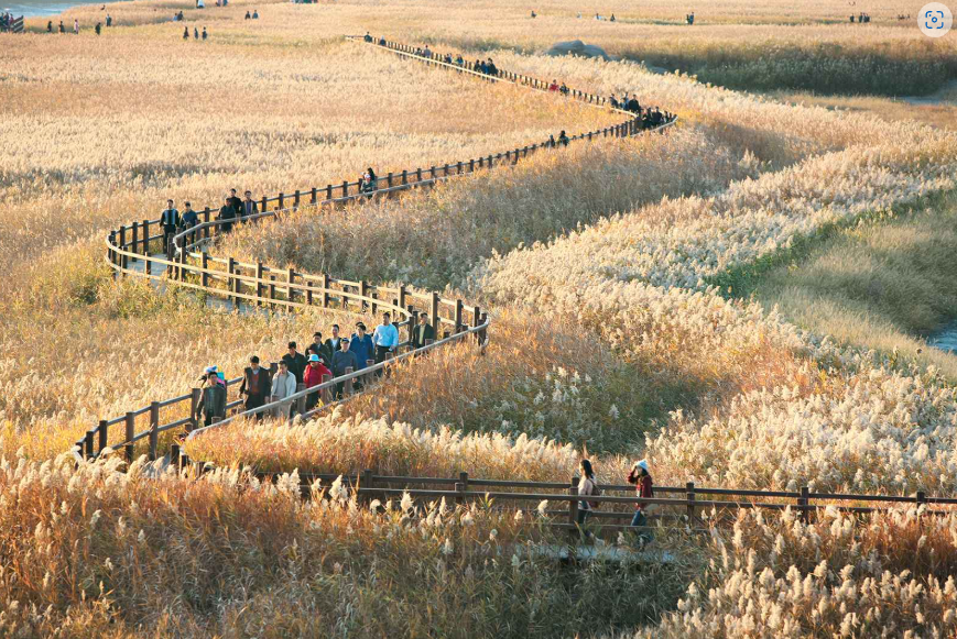 순천시 순천만습지