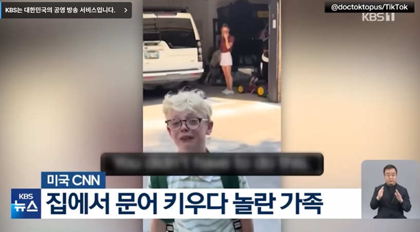문어 키우기와 가족의 갈등