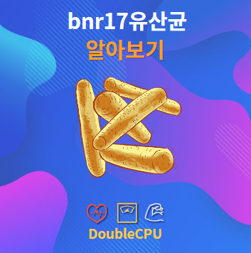 bnr17유산균 알아보기