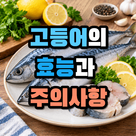 고등어 효능