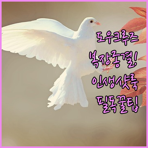 두바이 도우 크루즈 복장 규정 스마트..