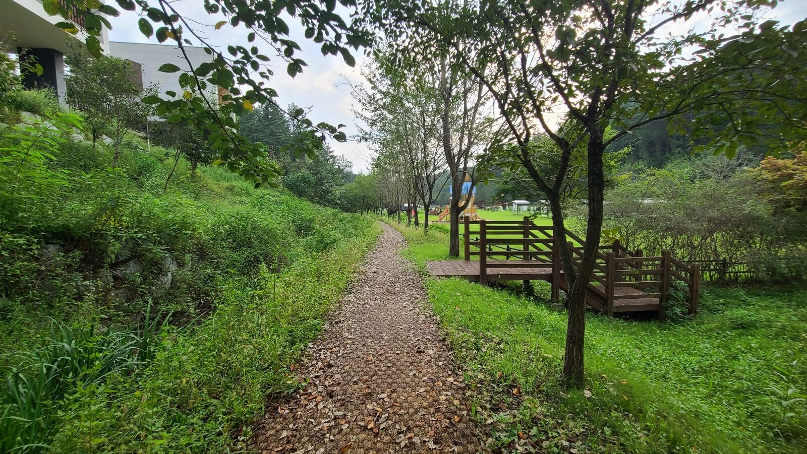 산책로5