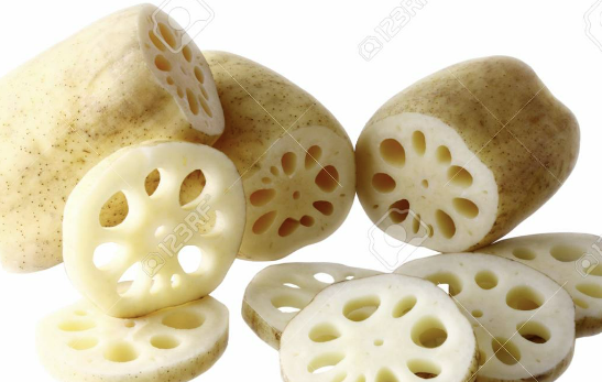 연근 효능 요리종류 보관방법 연근 조림 만드는 방법 총정리