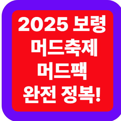 2025 보령 머드축제 머드팩 완전 정복!
