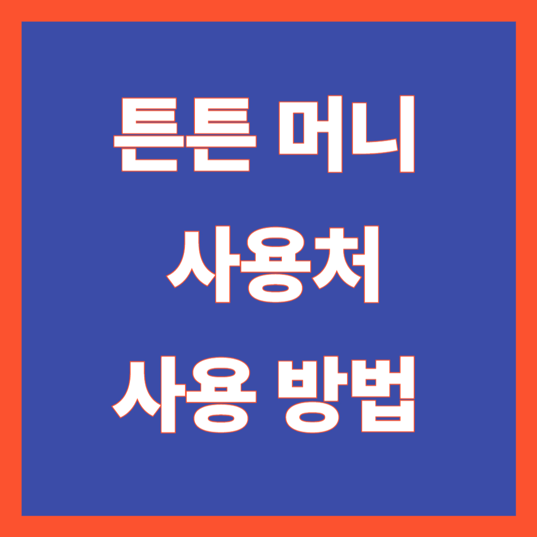 튼튼머니 사용처 사용방법