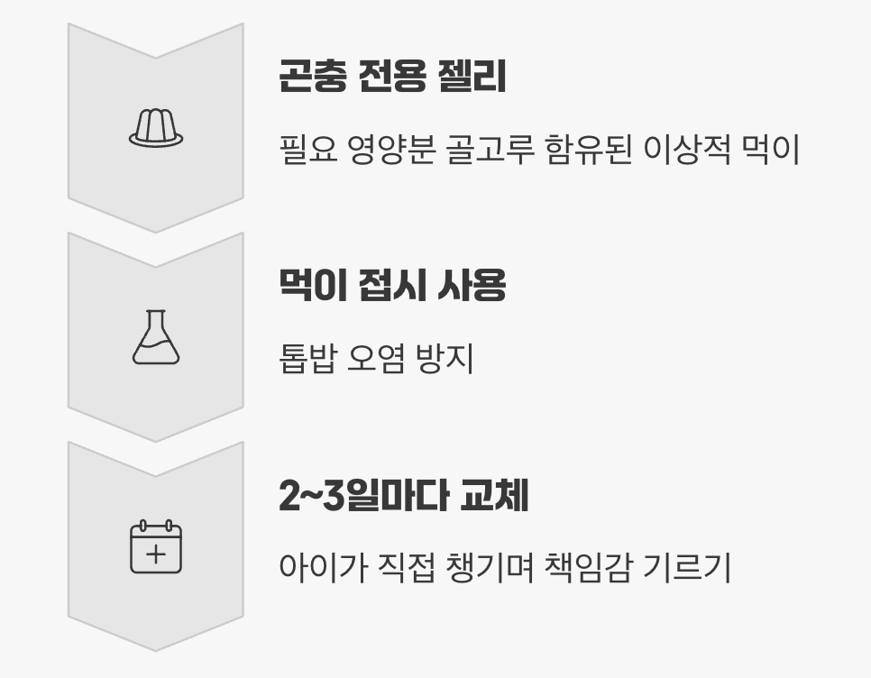 최고의 만찬&amp;#44; 달콤한 곤충 젤리