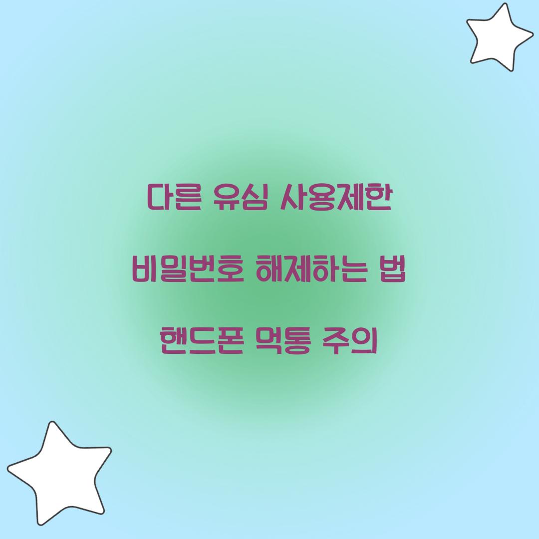 다른 유심 사용제한 비밀번호