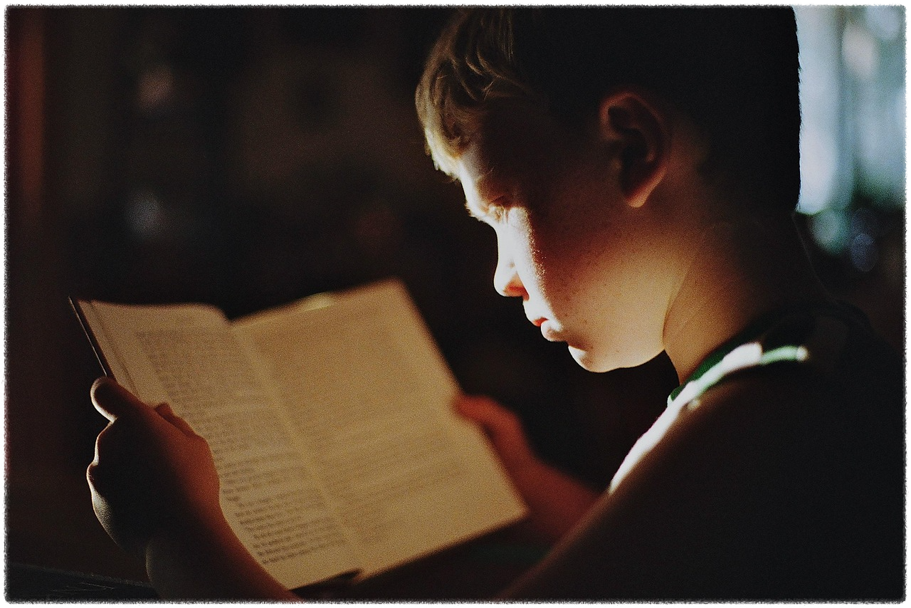 아이큐 테스트 무료 웹사이트 신뢰성 안내