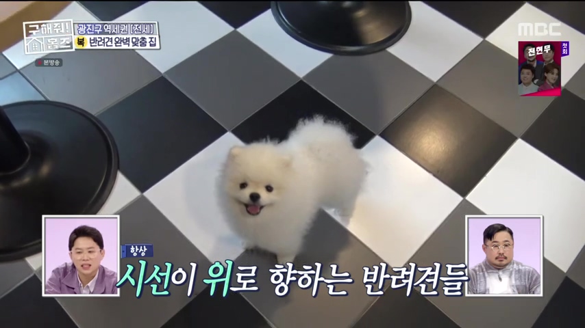 구해줘홈즈 댕댕하우스 동물병원 인접 서울시 광진구 중곡동 전세 매매 매물 가격 및 구조 인테리어 리모델링 최종선택 더보이즈 영훈 현재 소개