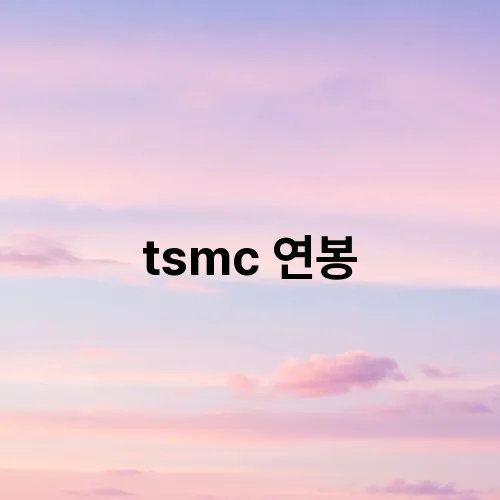 tsmc 연봉