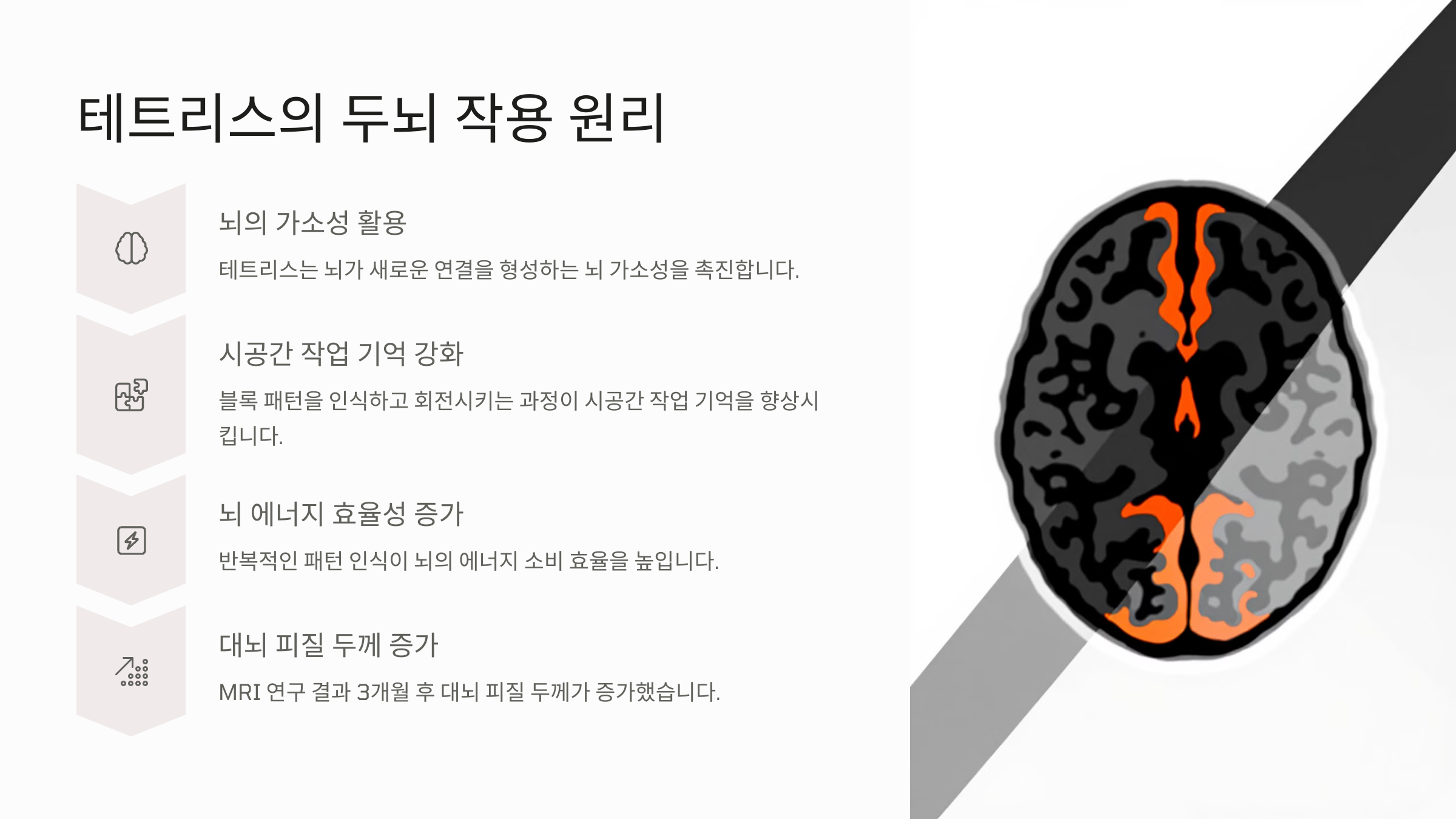 두뇌 훈련으로 작용하는 원리