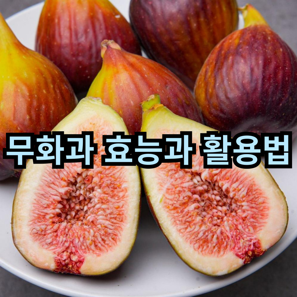 무화과 효능과 활용법