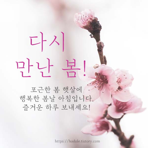 봄-인사말-이미지