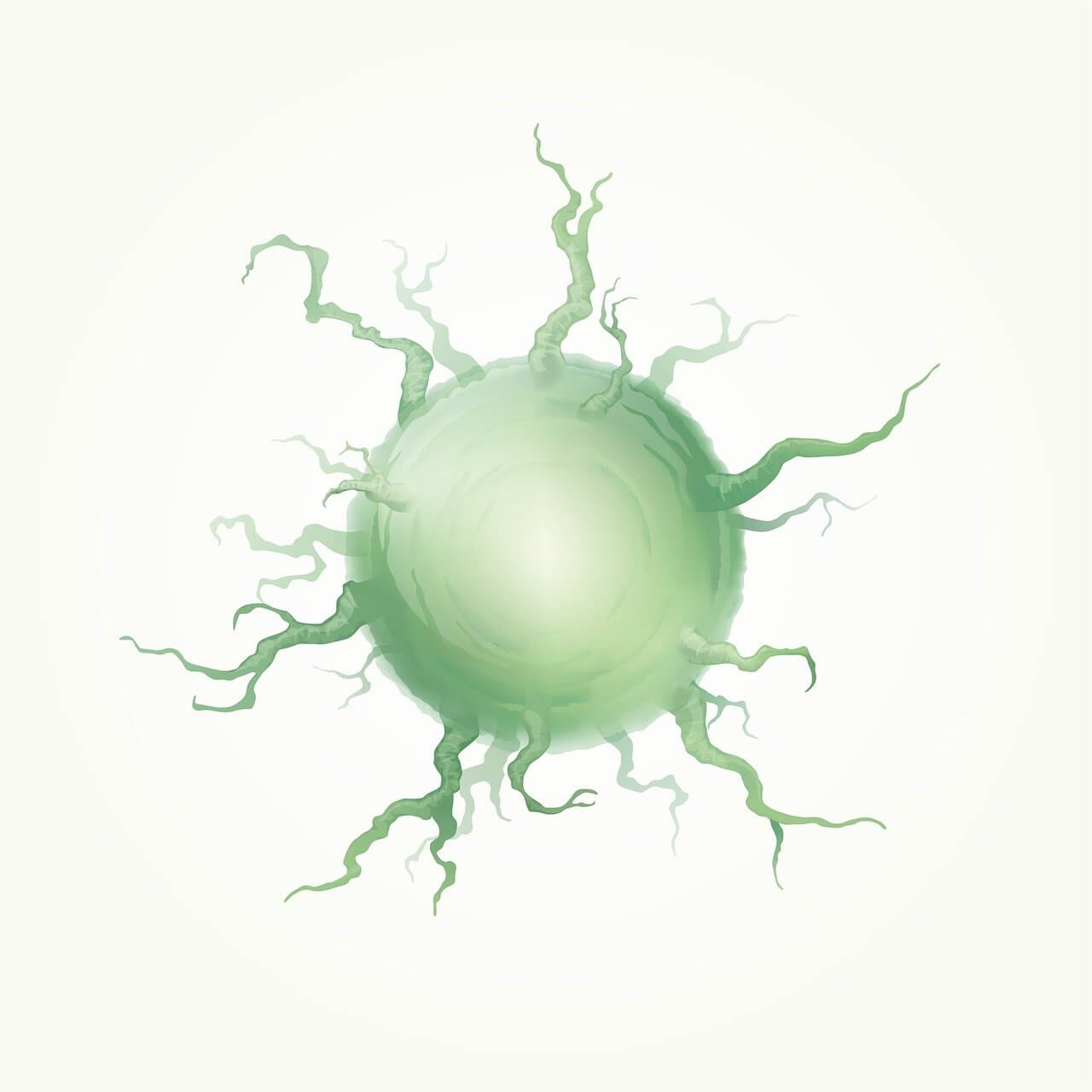 헤르페스 2형 증상