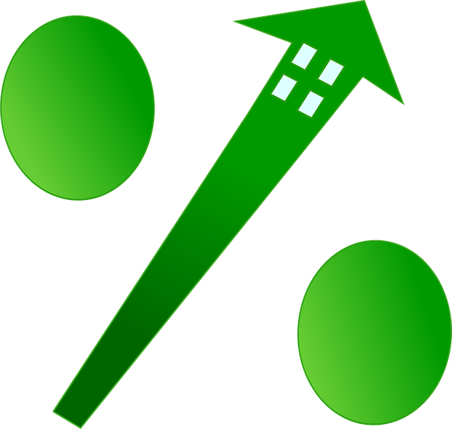 2025년 실제 승인 및 금리 비교 결과