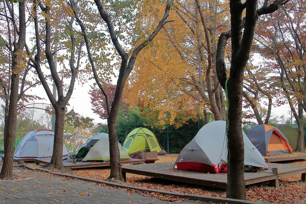 캠퍼의 성지 함허동천야영장 소개