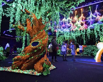 무주 반딧불 축제_14