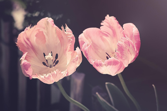 초등학교 5학년 아이