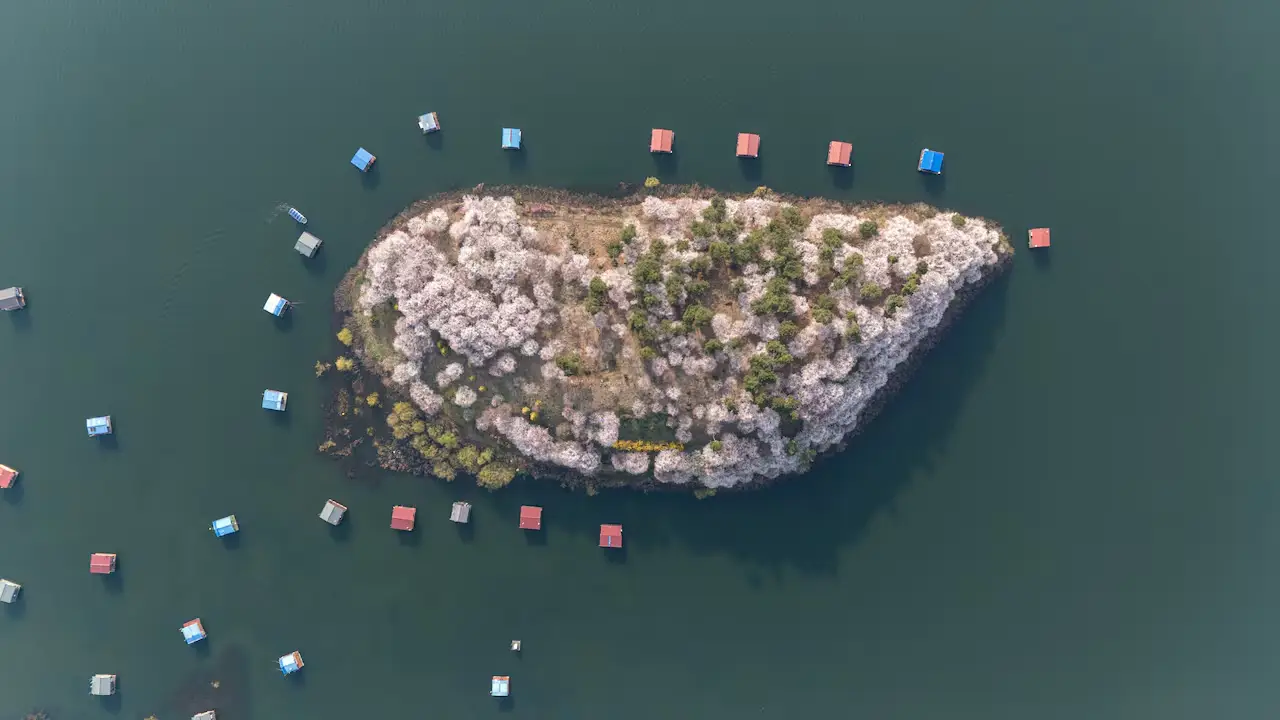 진천 초평벚꽃섬