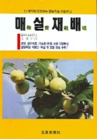 매실 재배 적과 타이밍 병충해 방제 수확 저장_29