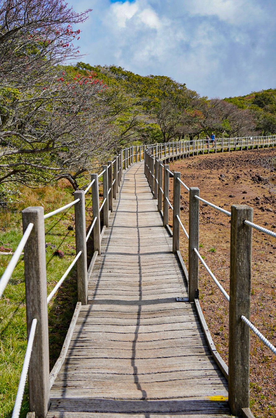 사라오름 탐방로