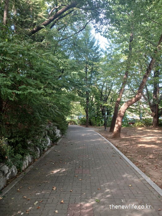 A paved trail shaded by tall trees in the forest area of Children's Grand Park./어린이대공원 숲길에 조성된 포장 산책로. 나무 그늘이 시원하게 드리워진 모습.