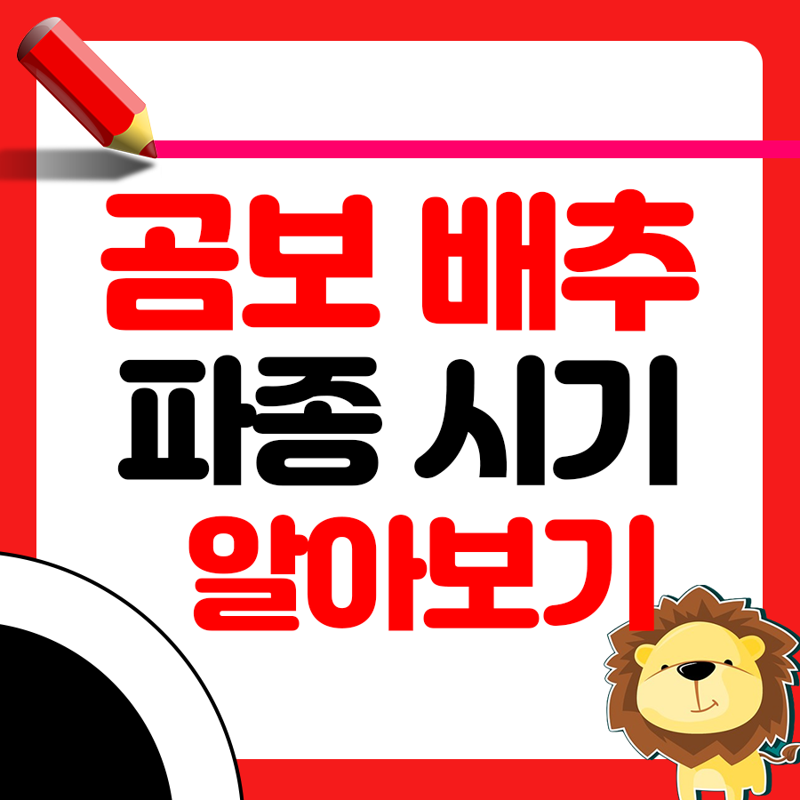 곰보배추 파종시기와 거름 주는 방법 알아보기 1