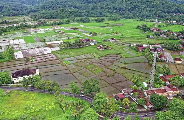 한국 농경 사회