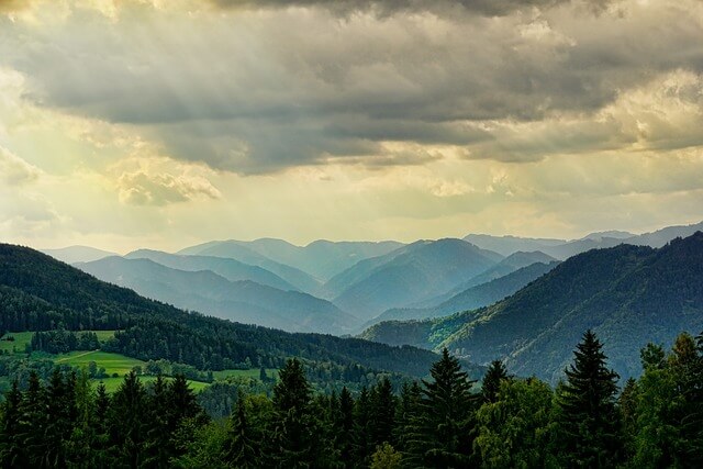 정부직접일자리 산림 일자리 