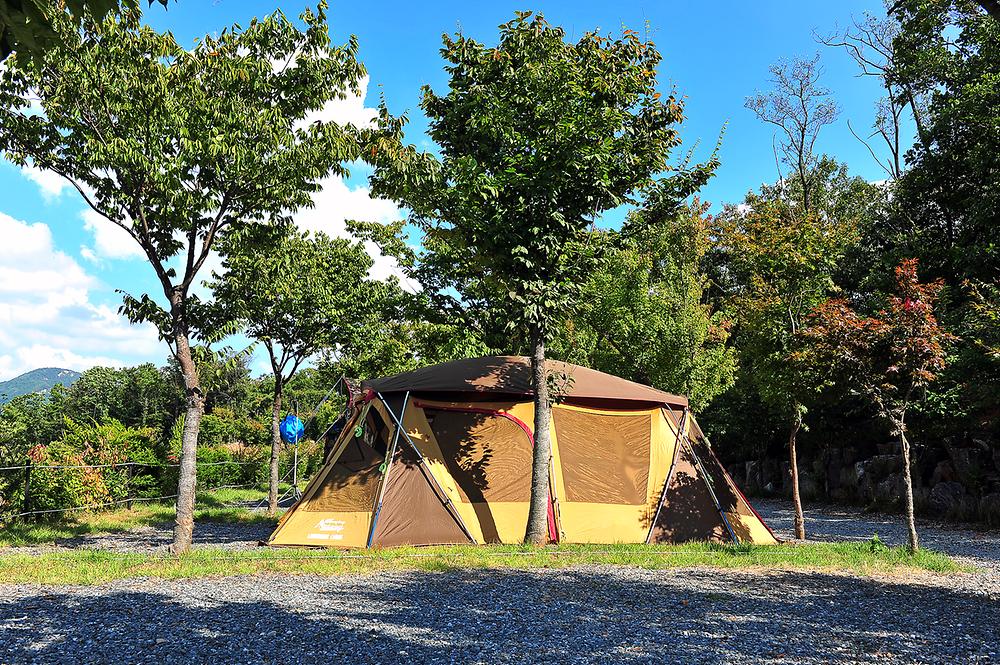 경기도 동두천 파인힐빌리지 캠핑장 소개