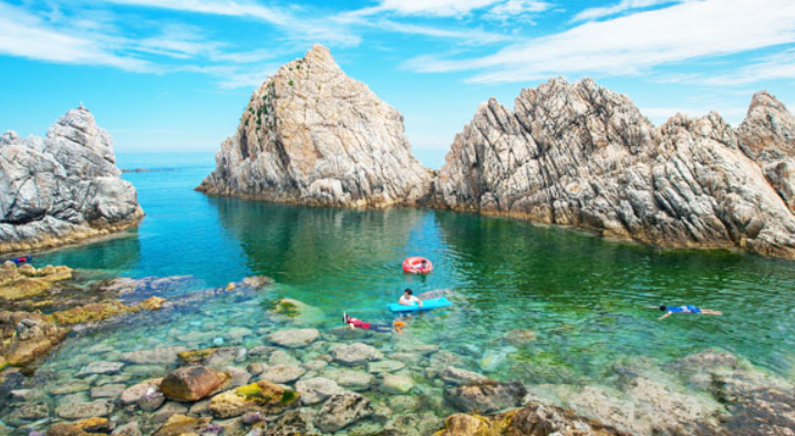 장호항 관련 홍보 사진