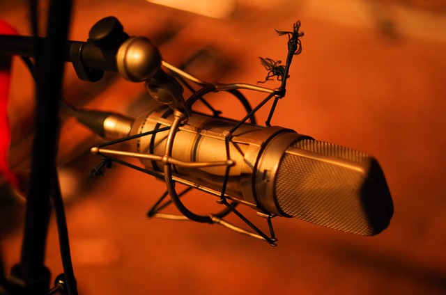 마이크 콘덴서마이크